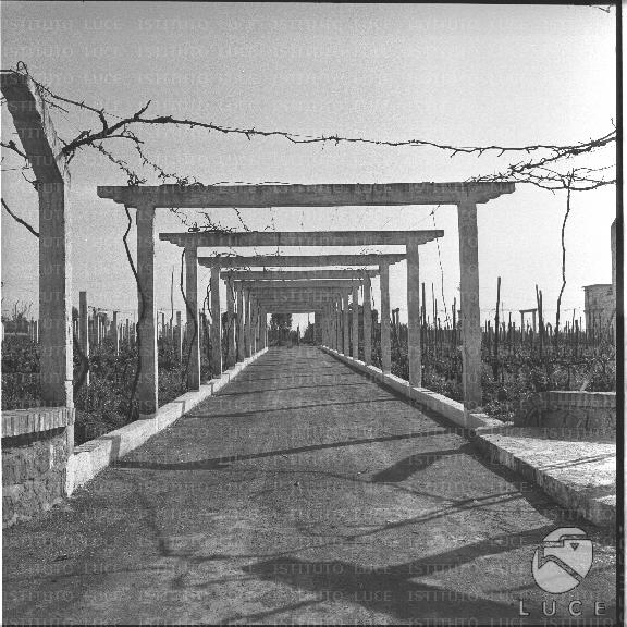FV/NTH00531/FV00116522.JPG