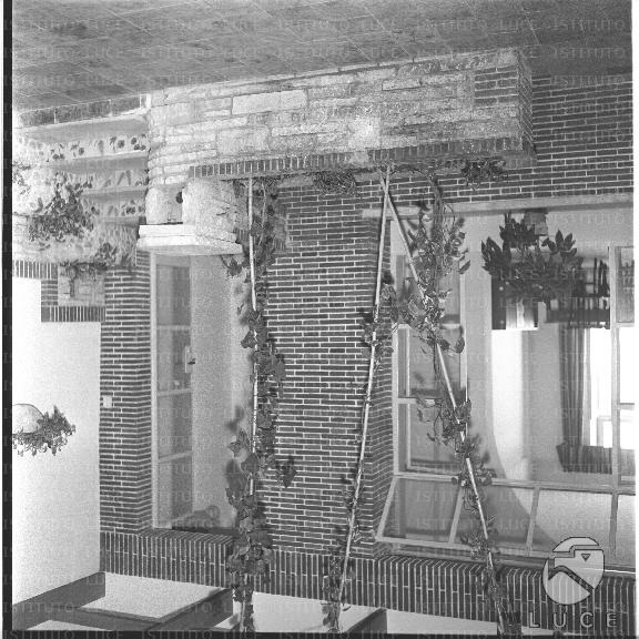 FV/NTH00531/FV00116547.JPG