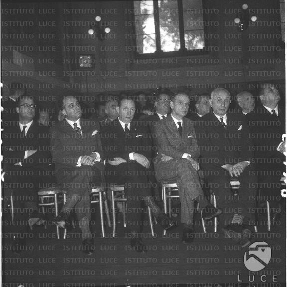 FV/NTH00533/FV00116866.JPG