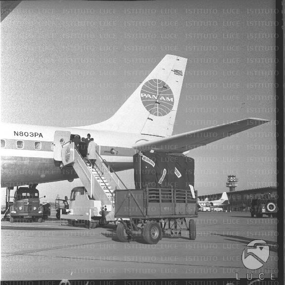 FV/NTH00533/FV00116881.JPG