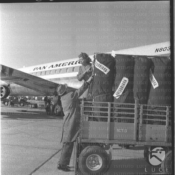 FV/NTH00533/FV00116886.JPG