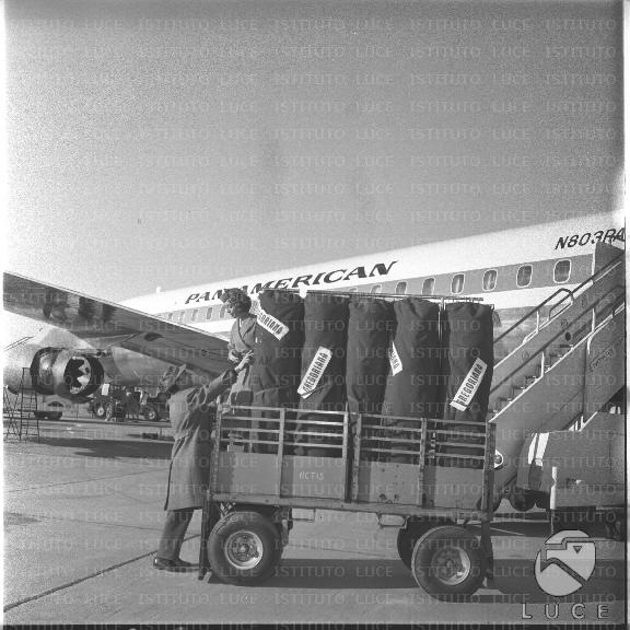 FV/NTH00533/FV00116901.JPG