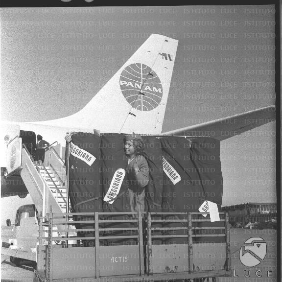 FV/NTH00533/FV00116902.JPG