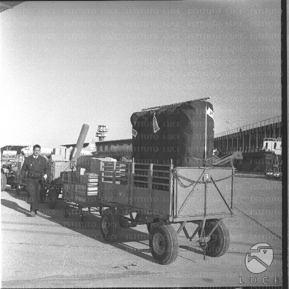 FV/NTH00533/FV00116933.JPG