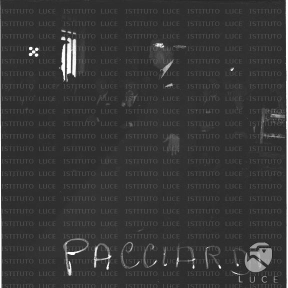 FV/NTH00533/FV00116977.JPG