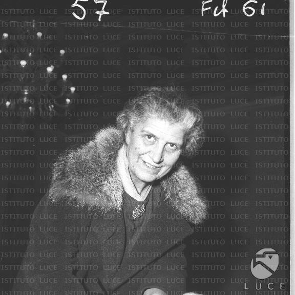 FV/NTH00535/FV00117425.JPG