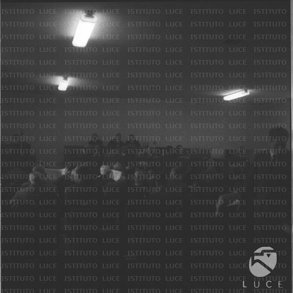 FV/NTH00539/FV00118307.JPG