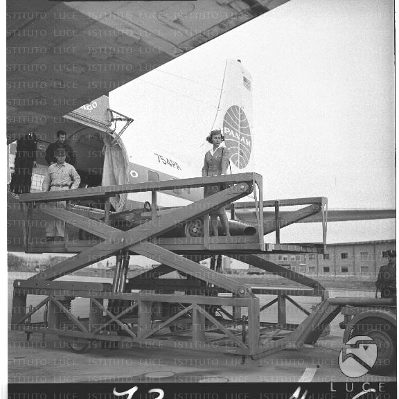 FV/NTH00542/FV00118822.JPG
