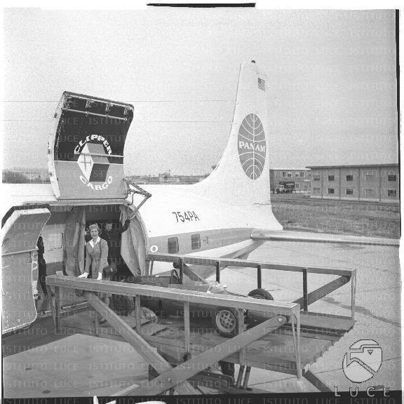 FV/NTH00542/FV00118826.JPG