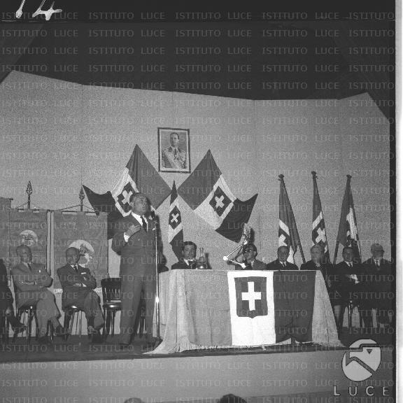 FV/NTH00552/FV00121041.JPG