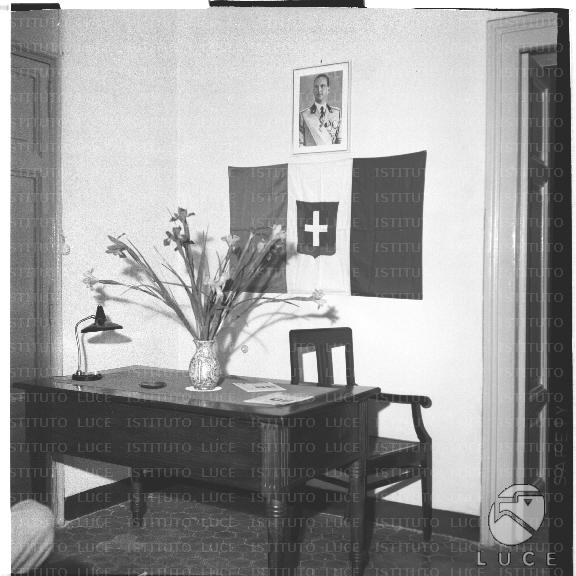 FV/NTH00554/FV00121431.JPG