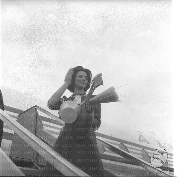 FV/NTH00560/FV00122823.JPG