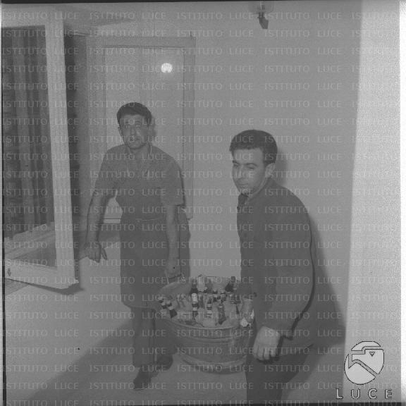 FV/NTH00570/FV00125046.JPG