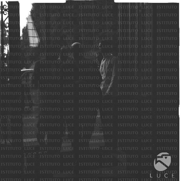 FV/NTH00570/FV00125079.JPG