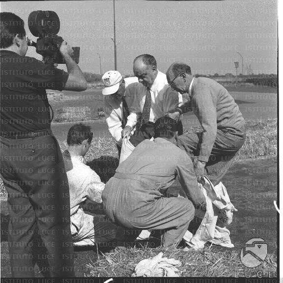 FV/NTH00581/FV00127419.JPG