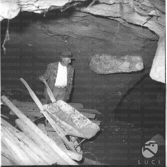FV/NTH00590/FV00129350.JPG