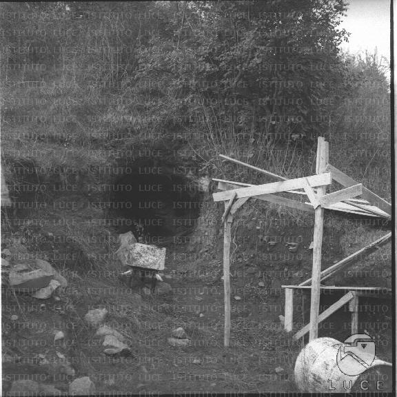 FV/NTH00590/FV00129366.JPG