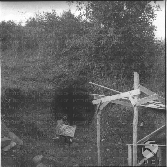 FV/NTH00590/FV00129367.JPG