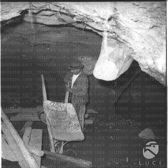FV/NTH00590/FV00129368.JPG