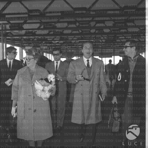 FV/NTH00610/FV00133840.JPG