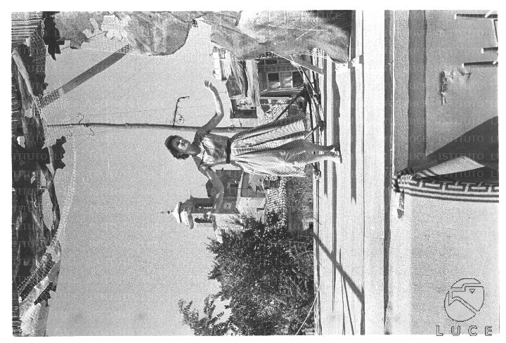 FV/NTH00611/FV00134037.JPG