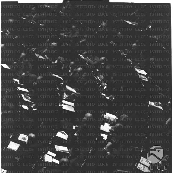 FV/NTH00621/FV00136181.JPG