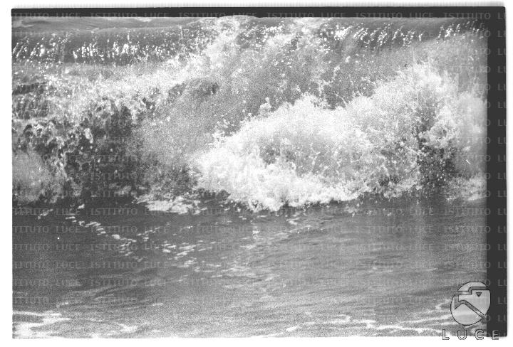 FV/NTH00622/FV00136257.JPG