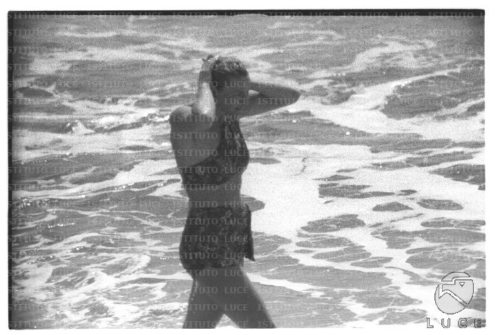 FV/NTH00622/FV00136409.JPG