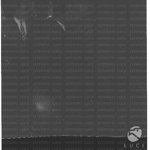 FV/NTH00636/FV00139128.JPG