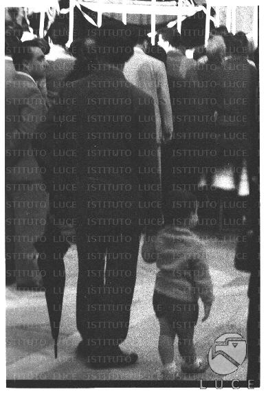 FV/NTH00639/FV00139873.JPG