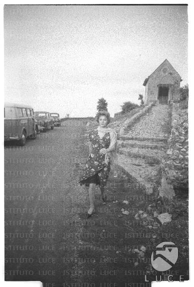 FV/NTH00641/FV00140328.JPG