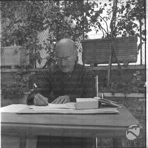 FV/NTH00645/FV00140980.JPG