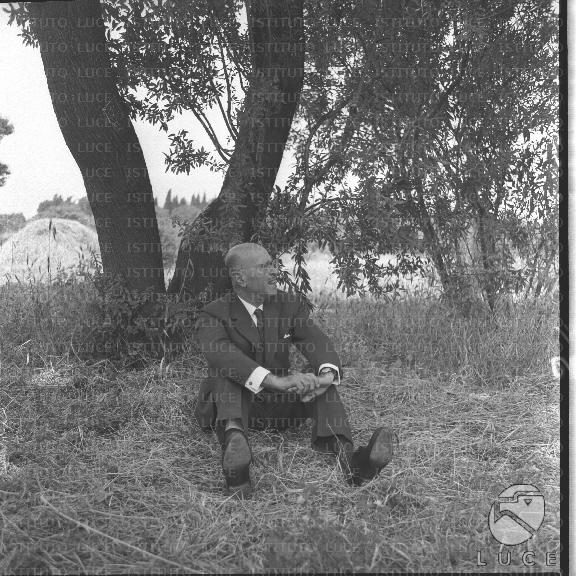 FV/NTH00645/FV00141088.JPG