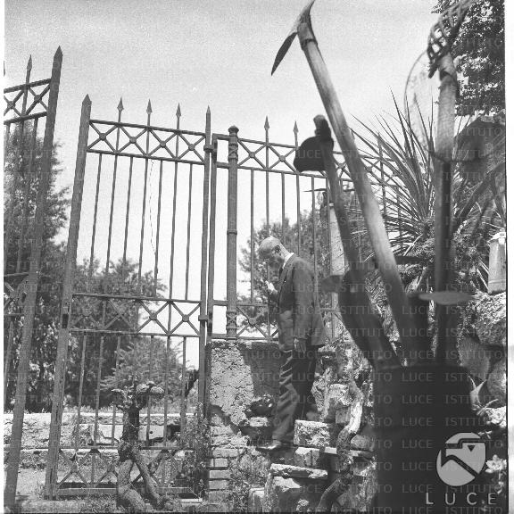 FV/NTH00645/FV00141104.JPG
