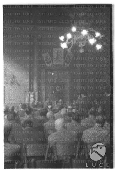 FV/NTH00645/FV00141107.JPG
