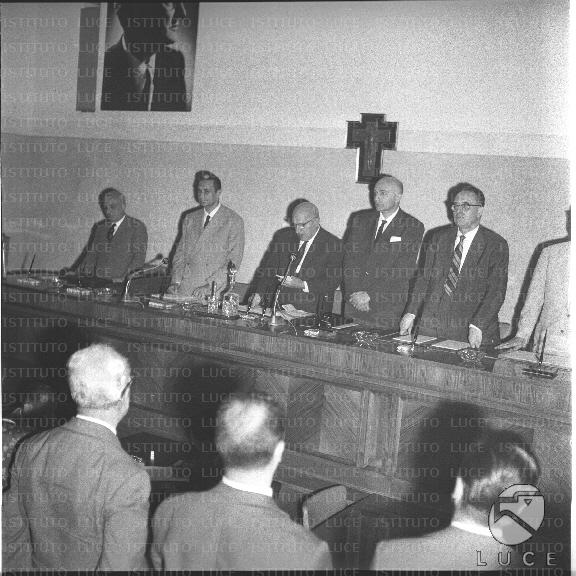 FV/NTH00649/FV00141825.JPG