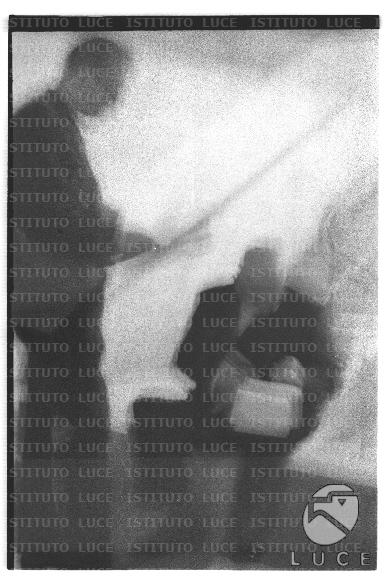 FV/NTH00657/FV00143507.JPG