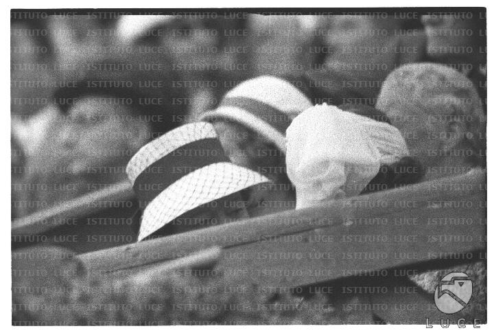 FV/NTH00669/FV00145940.JPG