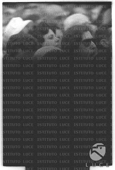 FV/NTH00669/FV00146015.JPG