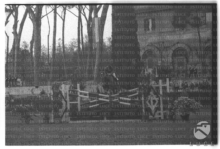 FV/NTH00669/FV00146019.JPG