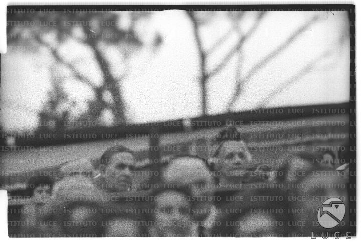 FV/NTH00669/FV00146066.JPG