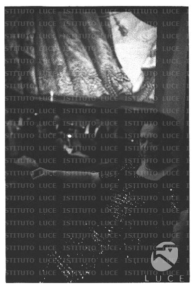 FV/NTH00671/FV00146470.JPG