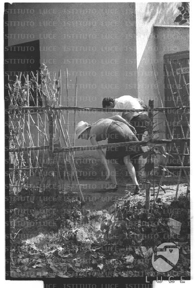 FV/NTH00680/FV00148202.JPG
