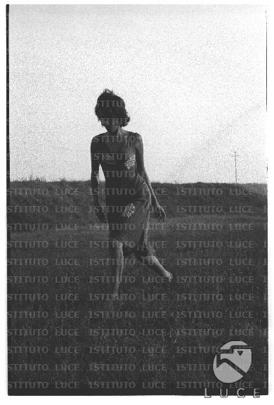 FV/NTH00680/FV00148220.JPG