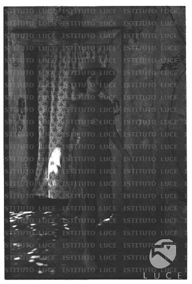 FV/NTH00680/FV00148271.JPG