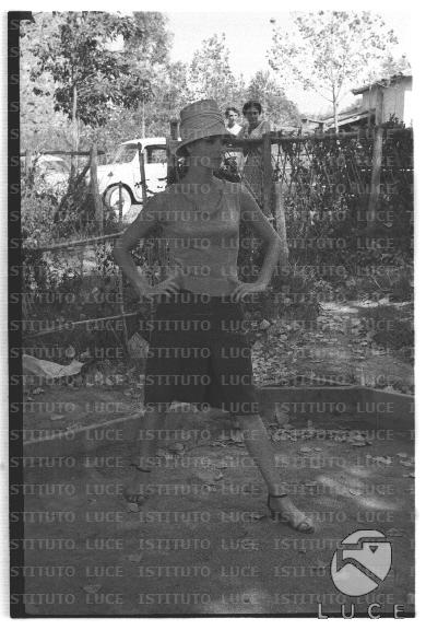 FV/NTH00680/FV00148339.JPG