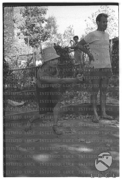 FV/NTH00680/FV00148365.JPG