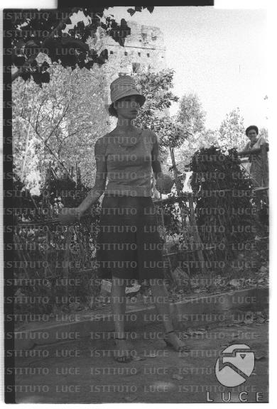 FV/NTH00681/FV00148406.JPG