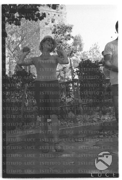 FV/NTH00681/FV00148408.JPG