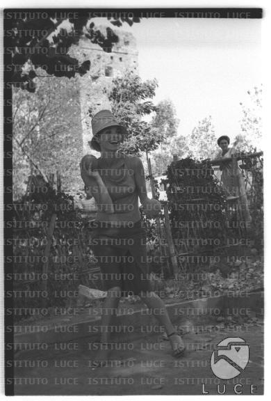 FV/NTH00681/FV00148410.JPG